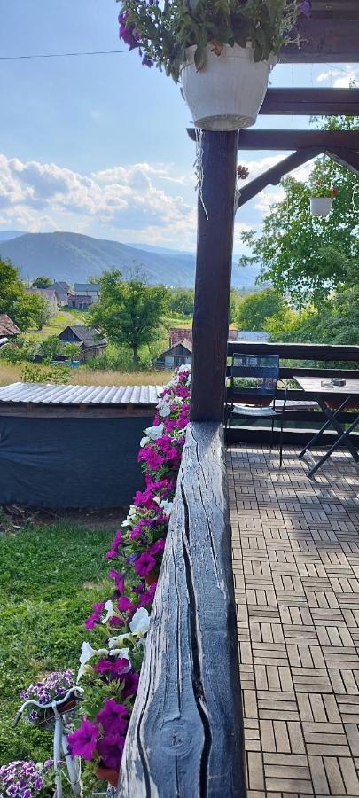 Lodge Casa Dunca Sighetu Marmaţiei