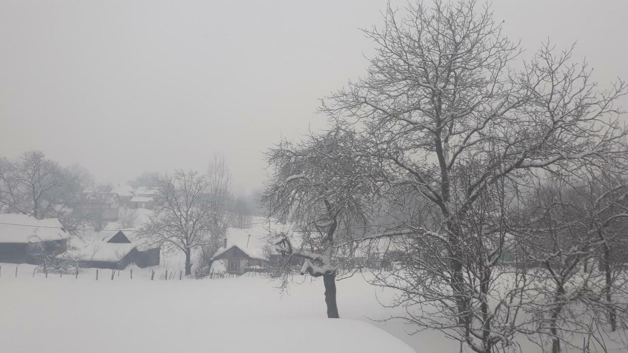 Casa Dunca *